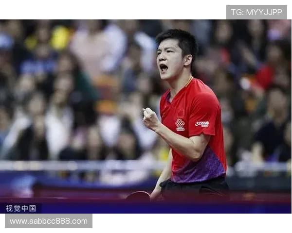 武汉乒乓球队的崛起之路与冠军赛背后的奋斗历程