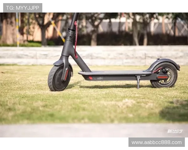 武汉滑板队战术表现深度分析与数据解读探讨