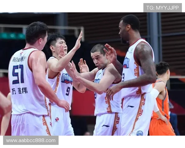 南京篮球队运营分析:成功经验与不足之处的深度剖析