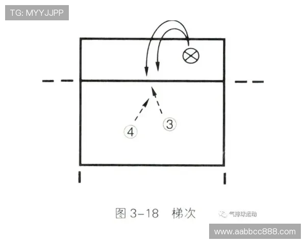 排球战术：深圳排球队的中路突破体系